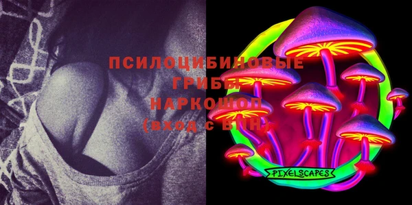 дмт Кукмор