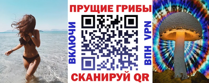 нарко площадка как зайти  blacksprut tor  Хадыженск  Галлюциногенные грибы MAGIC MUSHROOMS 